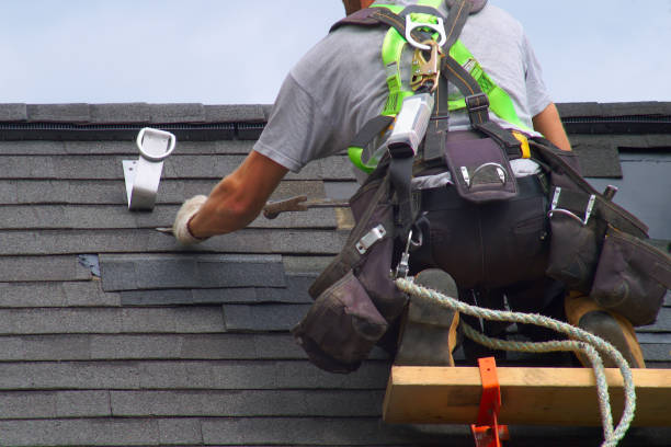 Best Local Roofing Companies  in Laureldale, PA